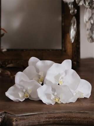 和装ﾍｯﾄﾞﾊﾟｰﾂ(胡蝶蘭 / 白) 