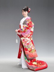 色AP-81 華祥爛寿 