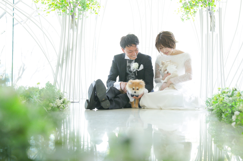 ペットも大事な家族