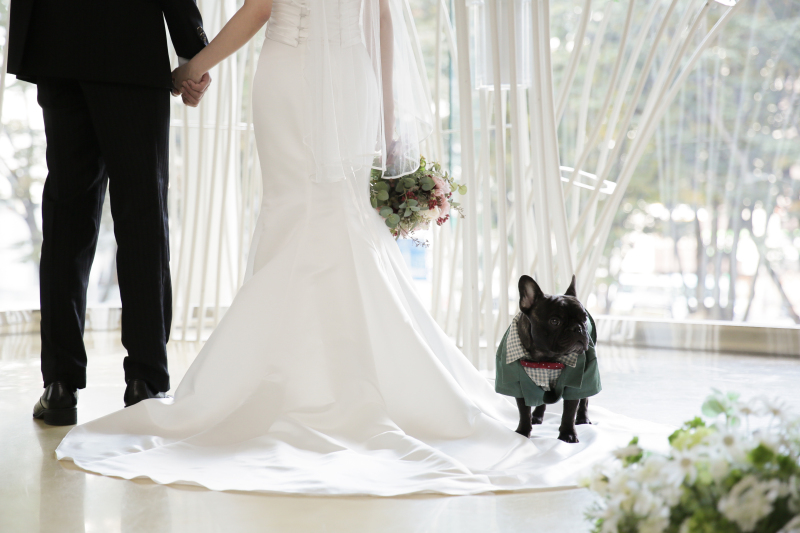わんちゃんとのフォトウェディング！