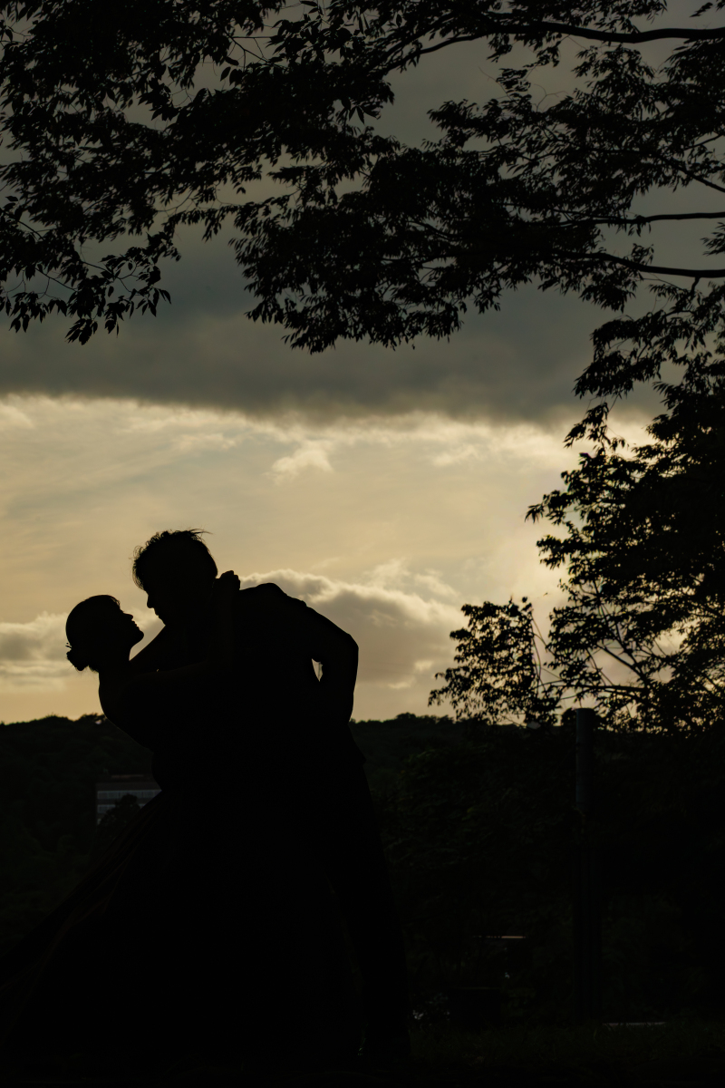 逆光を使った撮影も