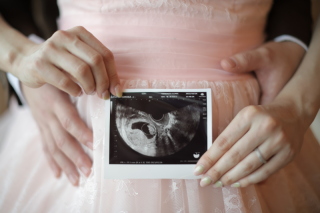 マタニティフォト