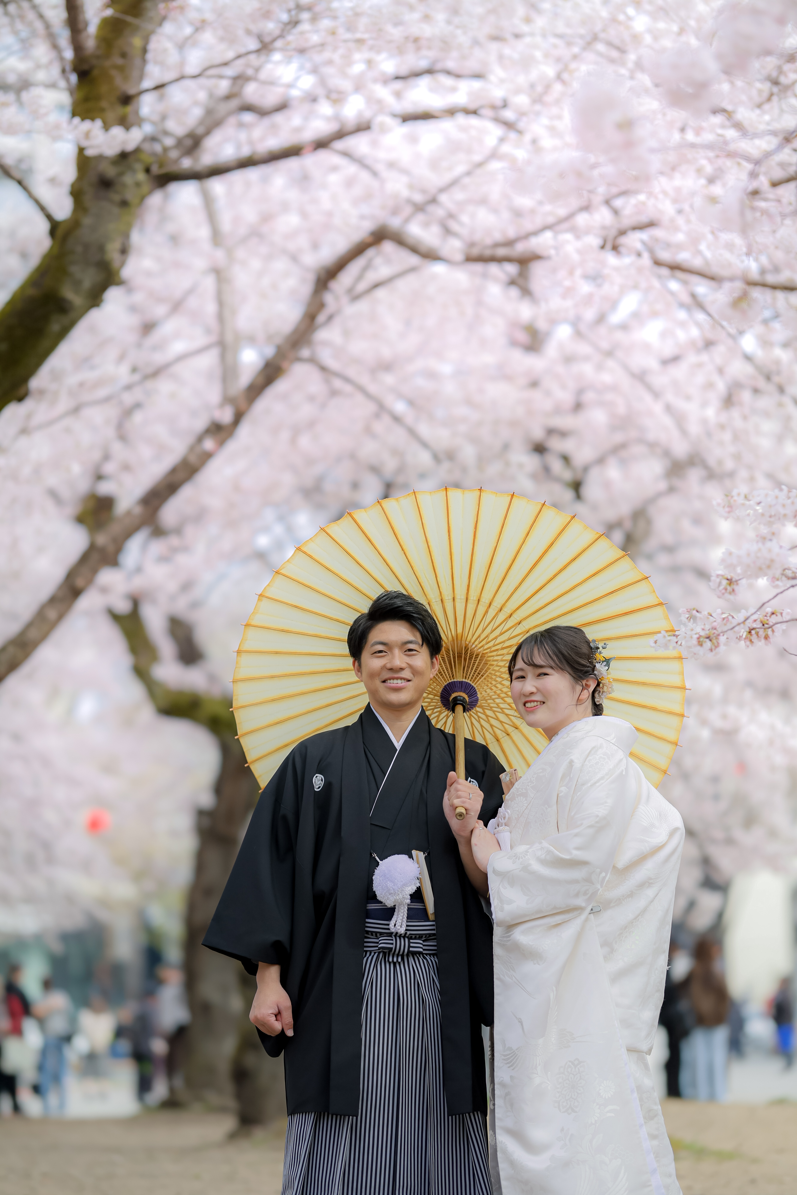 20以上ある撮影シーン