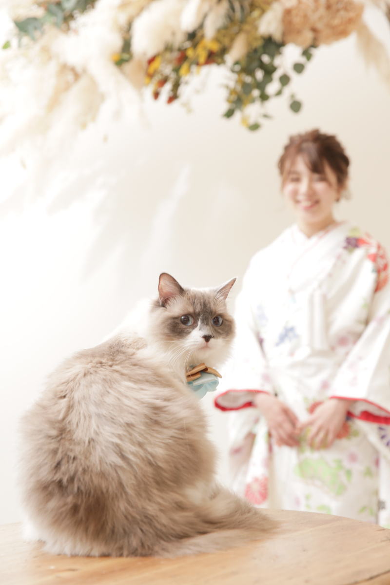 小さな結婚式　仙台店_ペットと一緒に撮影できる