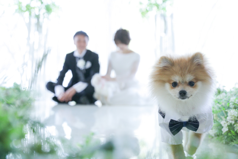 大切なペットとおふたりでの撮影！