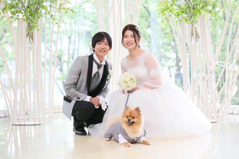 【通常プラン】〈大切なご家族も一緒に撮影OK〉ペットと一緒撮影プラン(洋装フォト50カットデータの金額です)