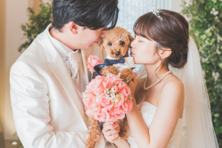 ペットと一緒に撮影