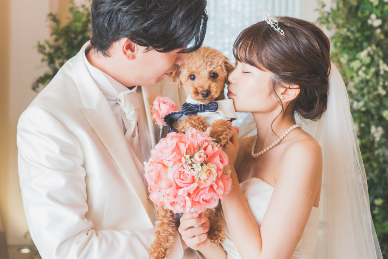 ペットと一緒に撮影