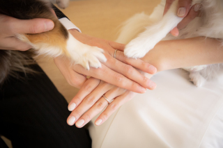 小さな結婚式　名古屋店