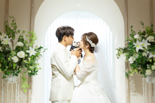 ペットとの撮影