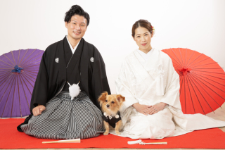 和装時番傘使用