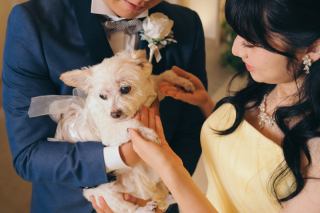 小さな結婚式 名古屋店_色々なフォトの楽しみ