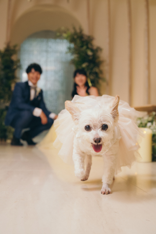 小さな結婚式 名古屋店_色々なフォトの楽しみ