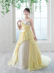 プラン内■CI54205