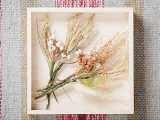 ﾄﾞﾗｲﾌﾗﾜｰ(ﾍﾞｰｼﾞｭ)