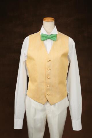 ベスト＋タイ（MCM-12790-02）