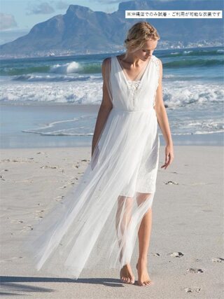 Z-Dorine ﾄﾞﾘｰﾈ