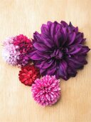 和装ﾍｯﾄﾞﾊﾟｰﾂ(PUﾀﾞﾘｱ) 