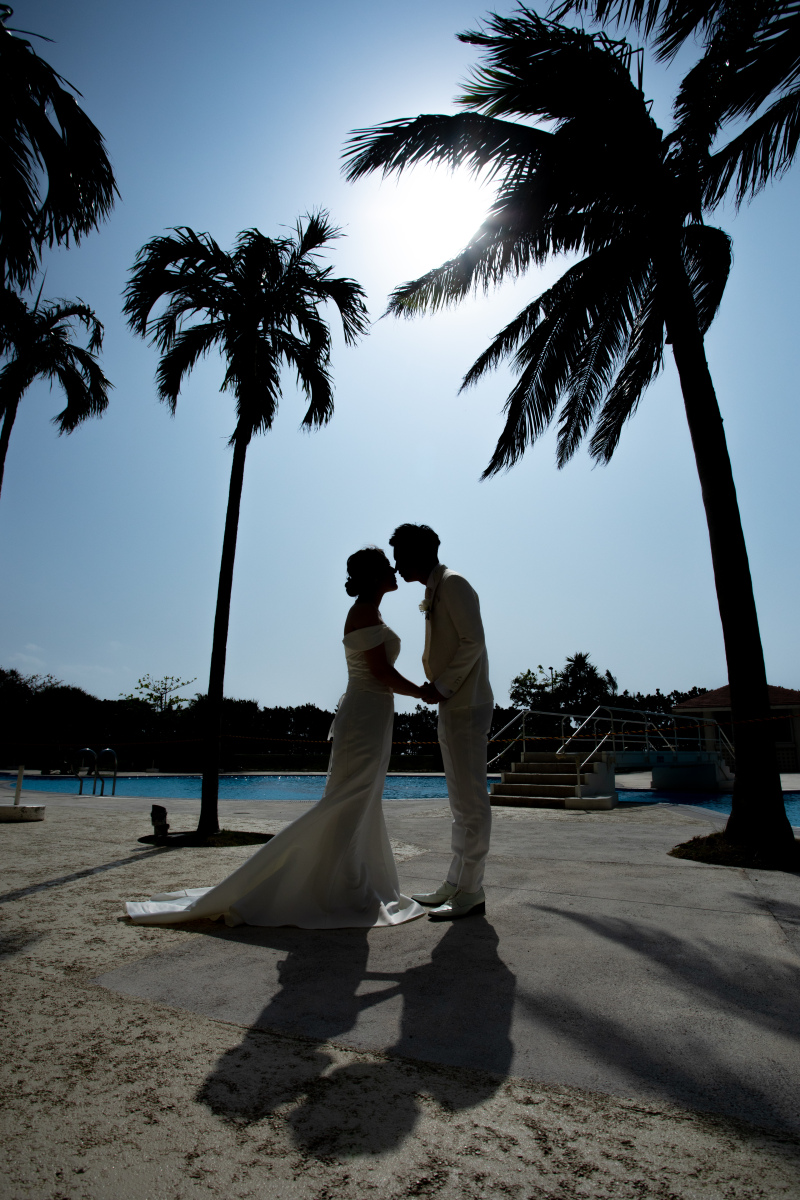 逆光を利用して