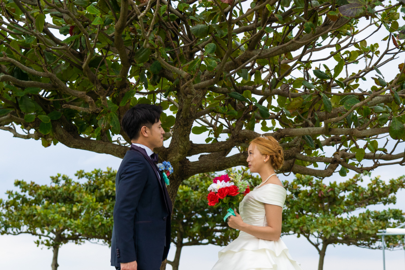 グリーンをバックに