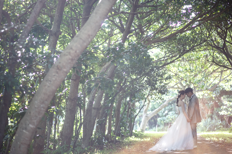 平和創造の森公園