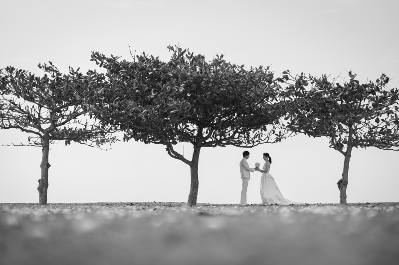 お2人だけの世界