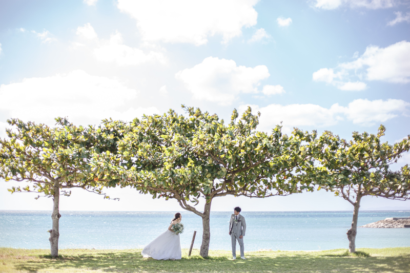 大きな木の下で