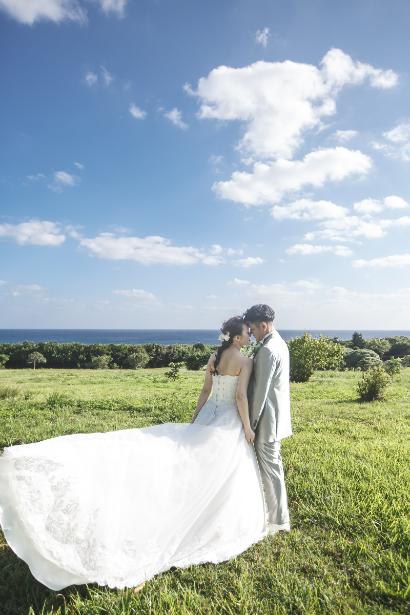 空と緑のコントラスト