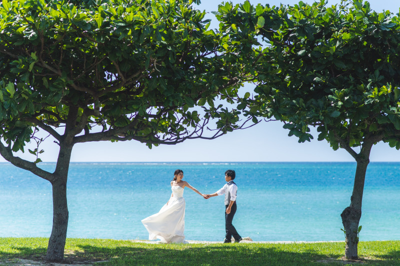 木々に囲まれて♪