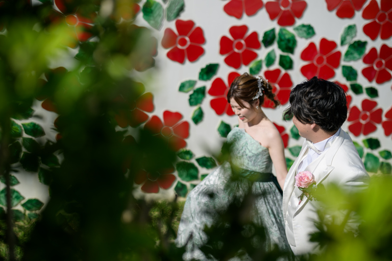 南国の花ハイビスカスの壁♪