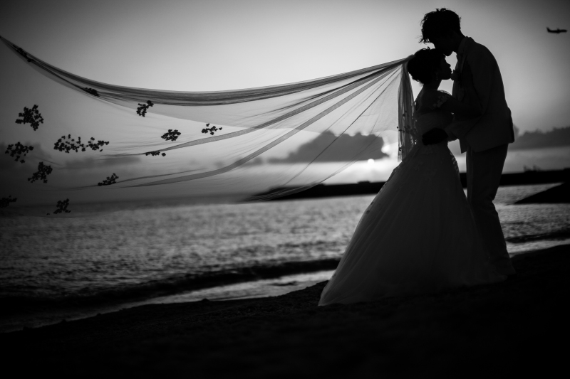 モノクロ×ベール