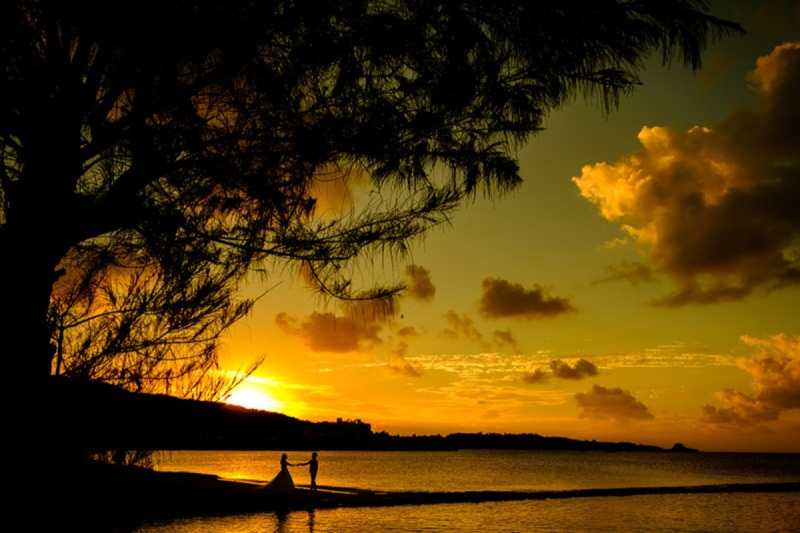 生きる写真... ハートのある写真。