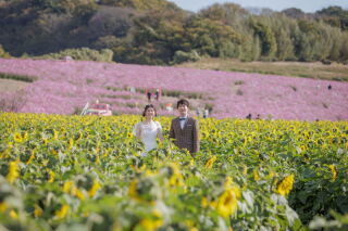 創寫舘 半田スタジオ_花ひろば