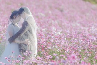 創寫舘 半田スタジオ_花ひろば