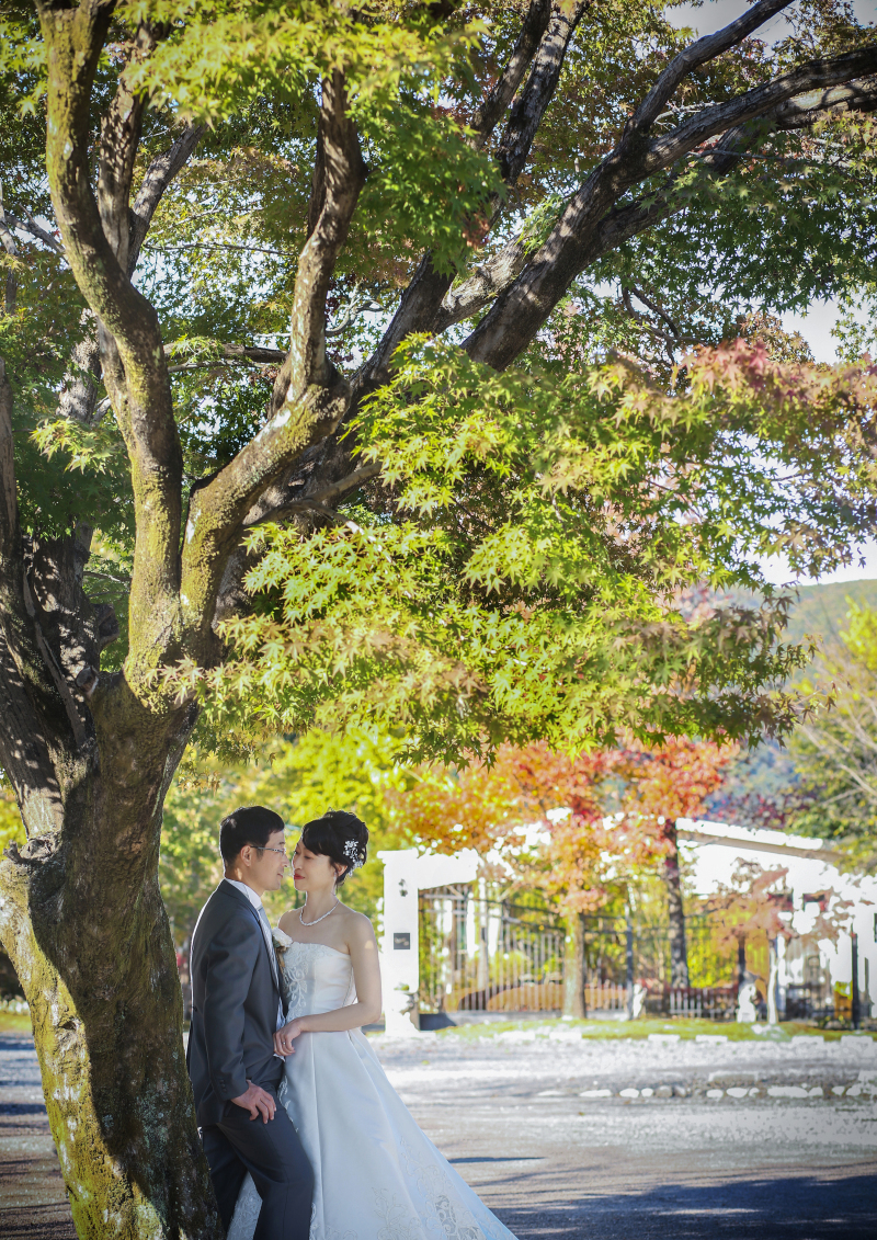 撮影エリア本当に広いんです。