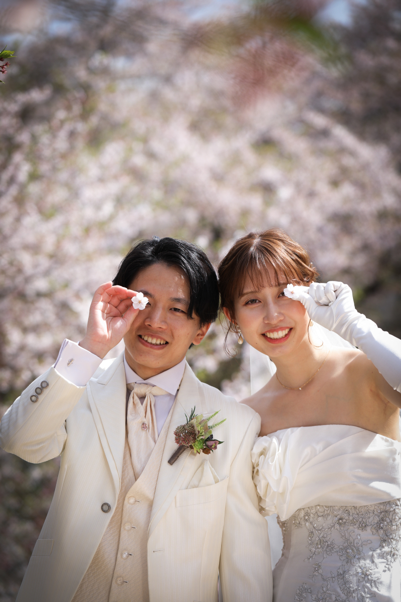 サクラロケーションフォト