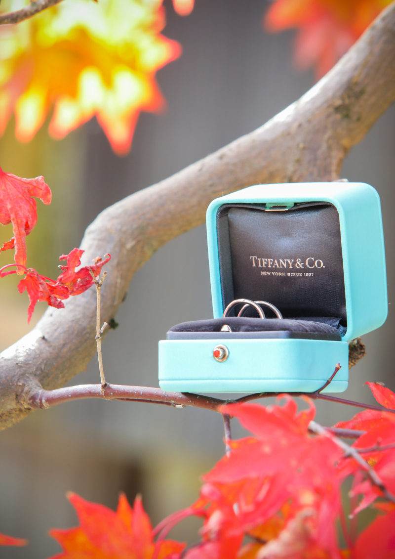 和装1着 紅葉が綺麗な川上別荘で