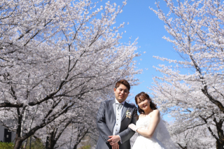 【洋和装】桜とウェディングフォト