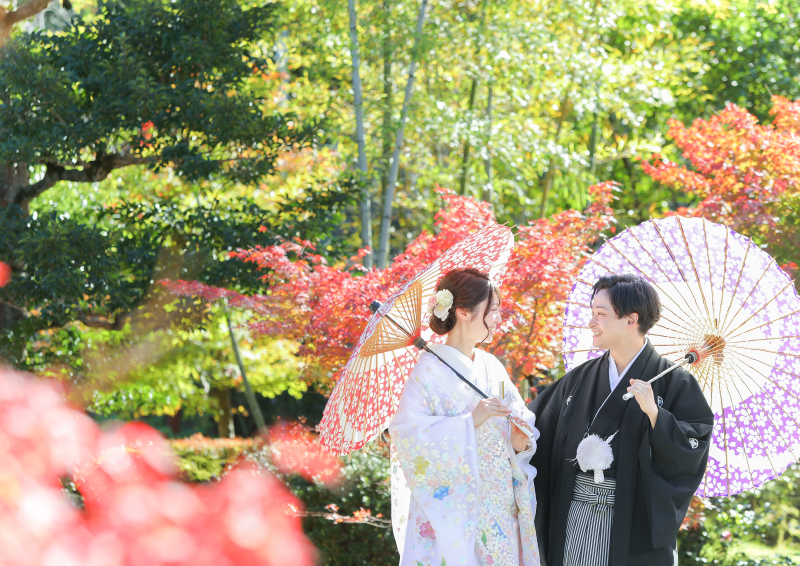 赤と緑の背景も