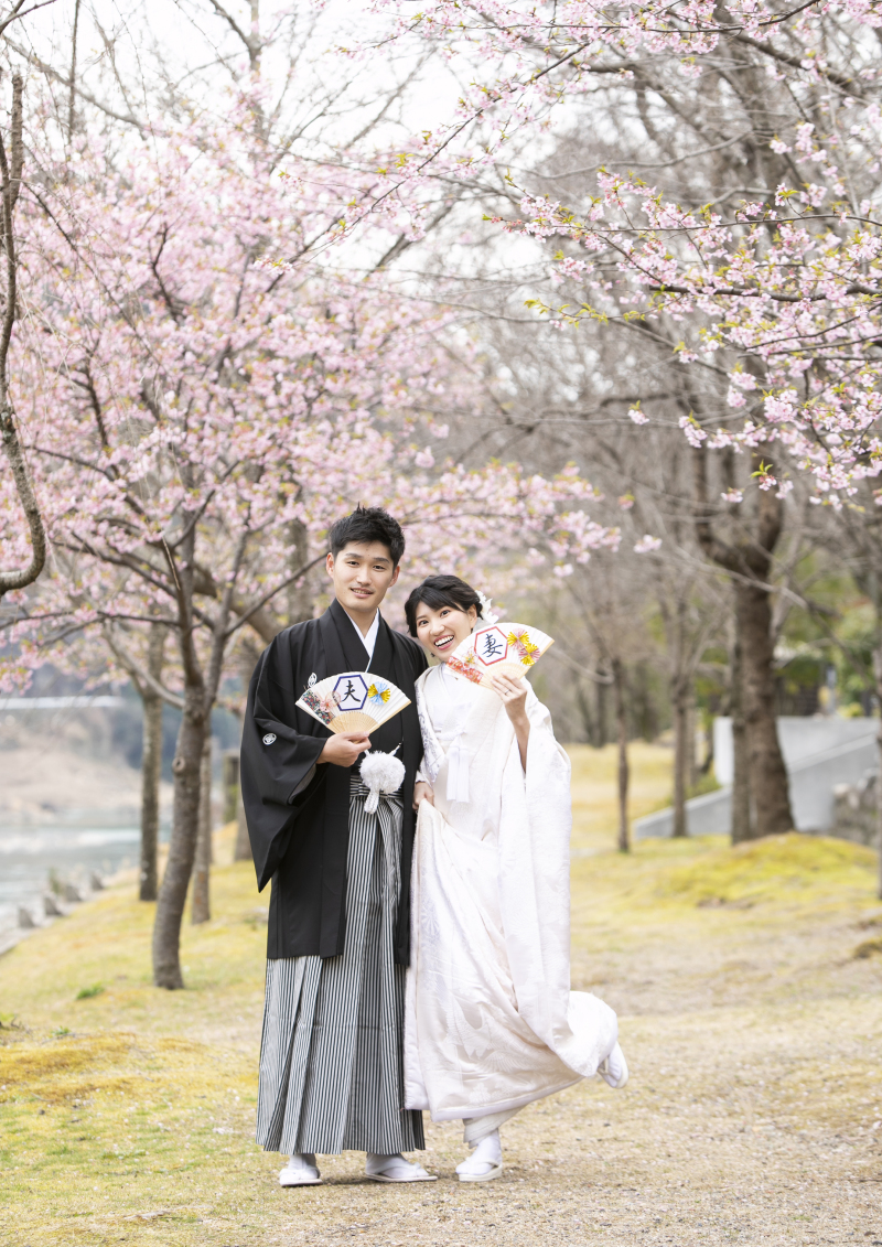 河津桜が見ごろでした