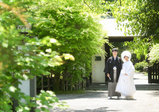 和装１着綿帽子を使って