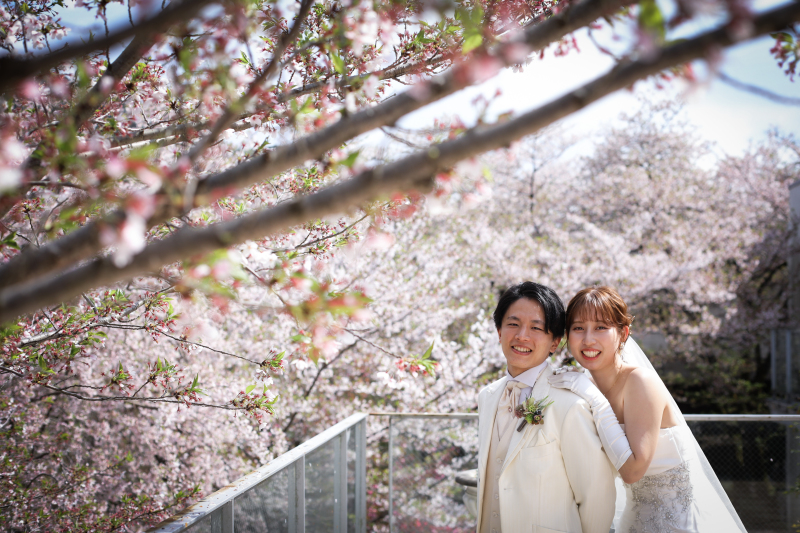 サクラロケーションフォト