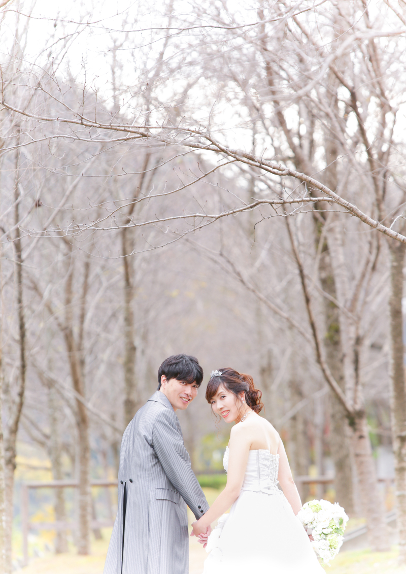 並木道を使って。