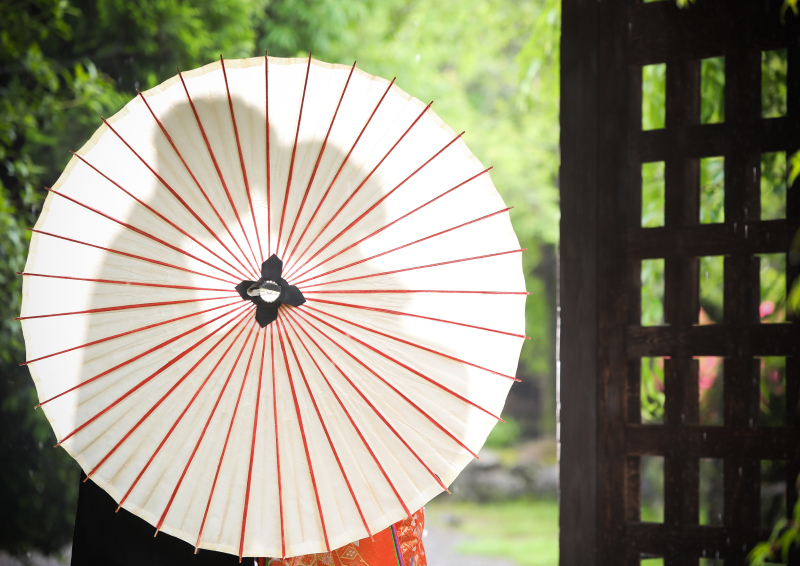 ご希望をいただいた傘のショットも♪