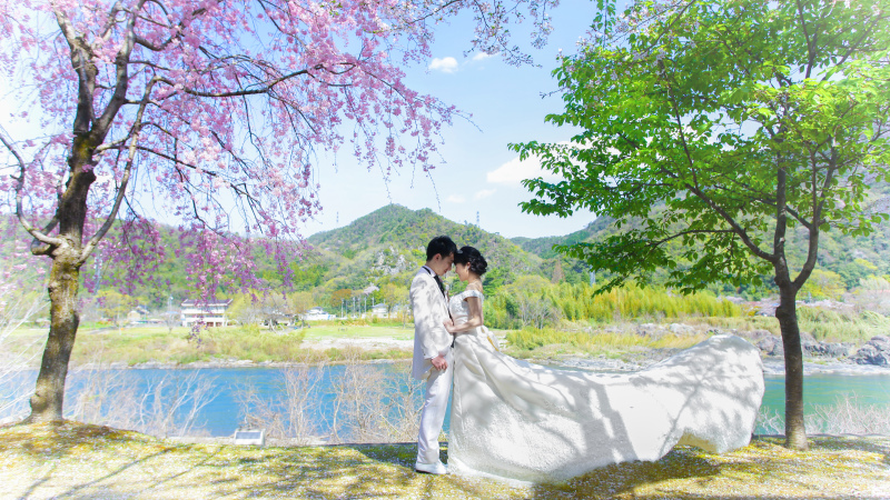 大きな川と桜と新緑と