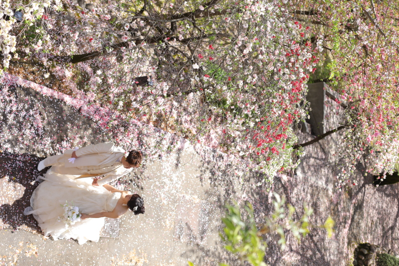 自然を生かした撮影