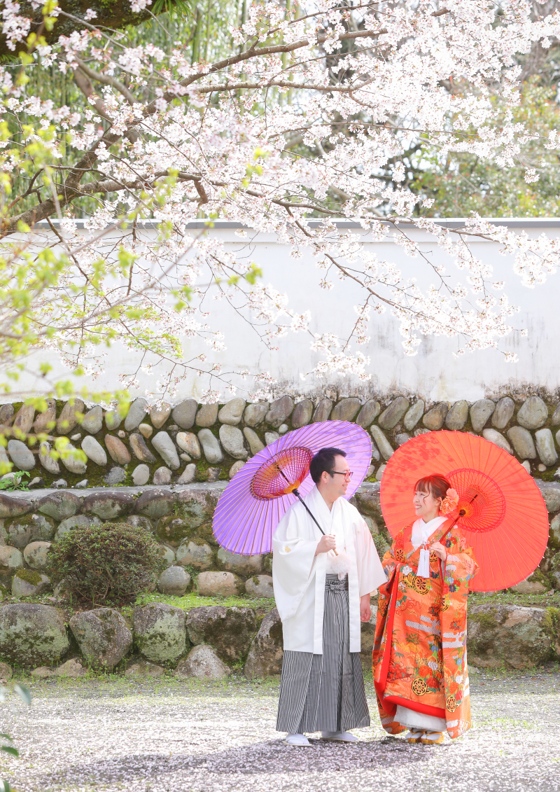桜の下で和傘をもって♪