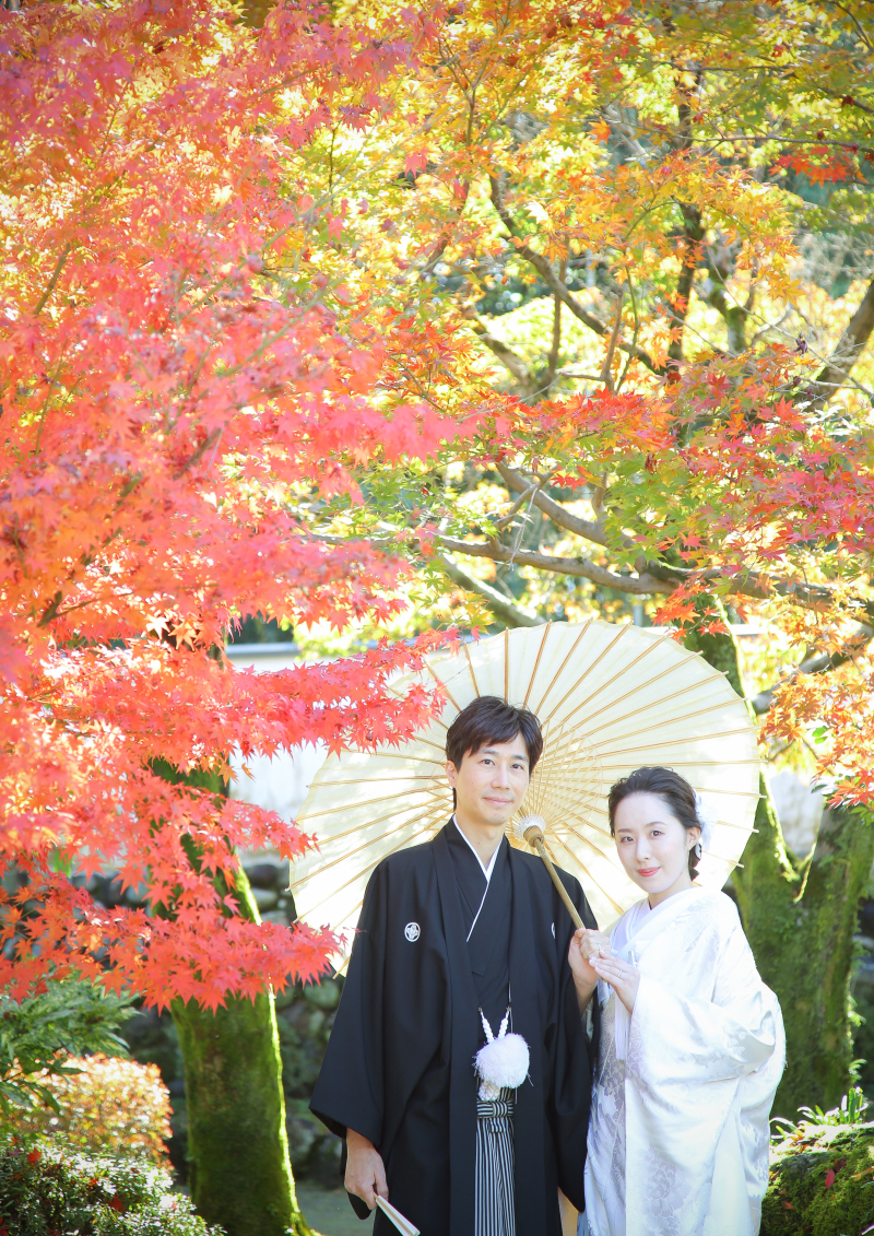 紅葉している木々の中で