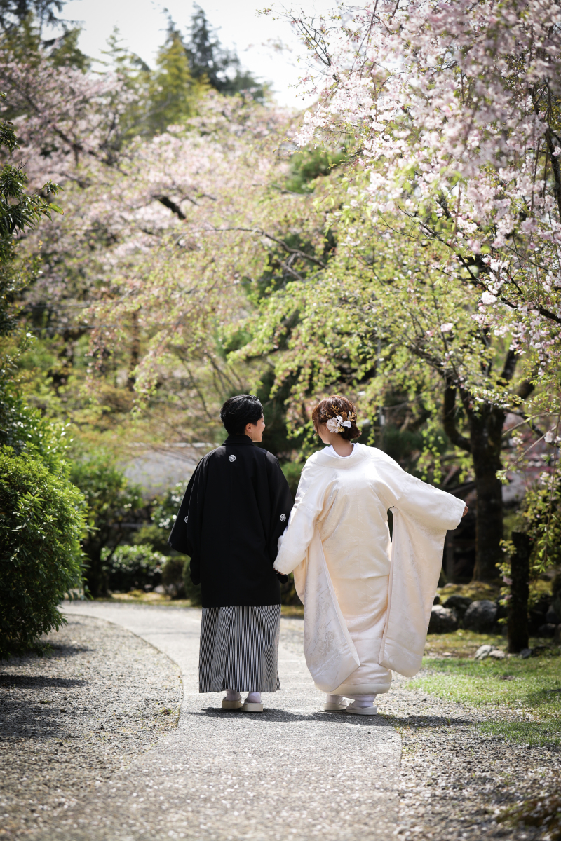 サクラロケーションフォト