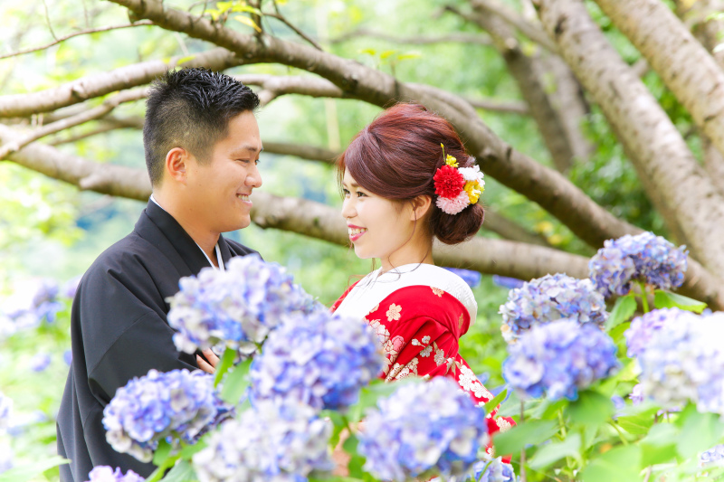 紫陽花の季節です